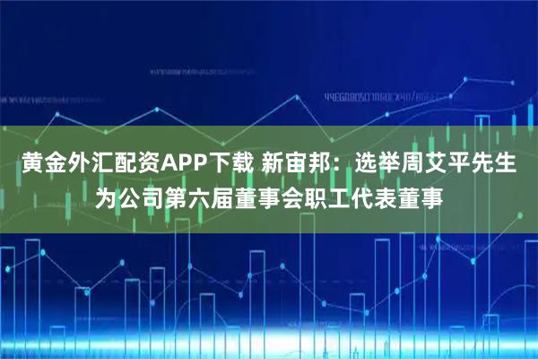 黄金外汇配资APP下载 新宙邦：选举周艾平先生为公司第六届董事会职工代表董事