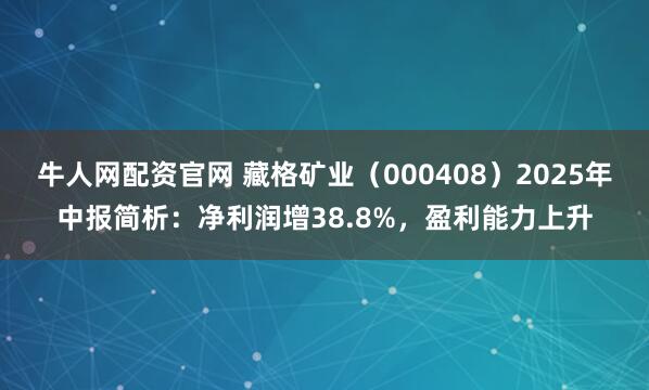 牛人网配资官网 藏格矿业(000408)2025年中报简析:净利润增38.8%,盈利能力上升